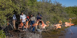 Cuáles son considerados los trabajos tecnológicos con mayor proyección en la próxima década cuales-son-considerados-los-trabajos-tecnologicos-con-mayor-proyeccion-en-la-proxima-decada