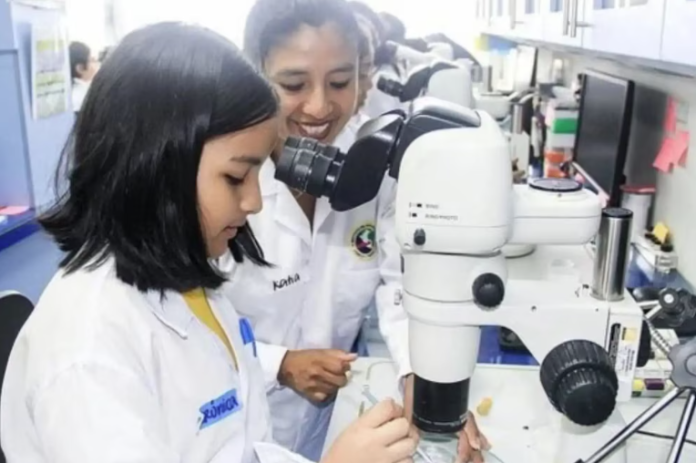 ninas-y-mujeres-en-tecnologia:-el-reto-de-construir-trayectorias-sostenibles-en-peru