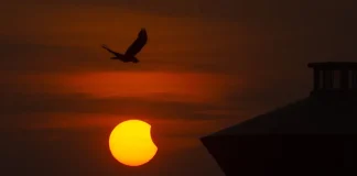 España se prepara para su primer eclipse solar total en más de un siglo espana-se-prepara-para-su-primer-eclipse-solar-total-en-mas-de-un-siglo