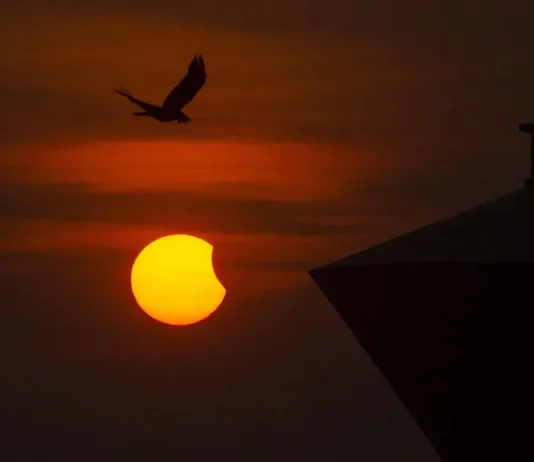 España se prepara para su primer eclipse solar total en más de un siglo espana-se-prepara-para-su-primer-eclipse-solar-total-en-mas-de-un-siglo