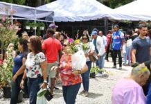 Jarabacoa celebra los 15 años del Festival de las Flores con una edición histórica jarabacoa-celebra-los-15-anos-del-festival-de-las-flores-con-una-edicion-historica