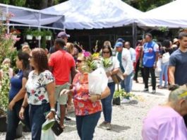 Jarabacoa celebra los 15 años del Festival de las Flores con una edición histórica jarabacoa-celebra-los-15-anos-del-festival-de-las-flores-con-una-edicion-historica