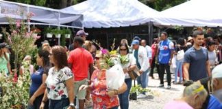 Jarabacoa celebra los 15 años del Festival de las Flores con una edición histórica jarabacoa-celebra-los-15-anos-del-festival-de-las-flores-con-una-edicion-historica