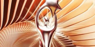 Acroarte inicia evaluación del primer semestre rumbo a Premios Soberano 2027 acroarte-inicia-evaluacion-del-primer-semestre-rumbo-a-premios-soberano-2027
